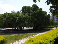 贛南師范學(xué)院科技學(xué)院2023年學(xué)費、收費多少