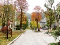 吉首師范大學(xué)張家界學(xué)院2023年學(xué)費(fèi)、收費(fèi)多少