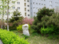涿州幼師技師學院2023年學費、收費多少