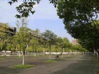 四川大學師范學院江安校區(qū)2023年學費、收費多少