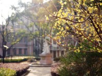 東華大學(xué)師范學(xué)院延安路校區(qū)2023年學(xué)費、收費多少