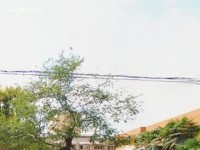 西安職業(yè)中等幼師專業(yè)學校2023年報名條件、招生要求、招生對象