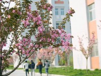 渭南職業(yè)技術(shù)師范學(xué)院朝陽(yáng)校區(qū)2023年學(xué)費(fèi)、收費(fèi)多少