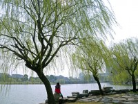 金華職業(yè)技術(shù)師范學(xué)院2023年學(xué)費(fèi)、收費(fèi)多少