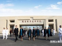 鶴壁職業(yè)技術(shù)師范學院2023年是幾專
