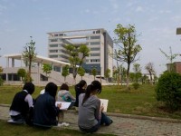 武漢城市職業(yè)師范學院歷年錄取分數線