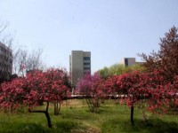 漯河職業(yè)技術(shù)師范學(xué)院2023年學(xué)費(fèi)、收費(fèi)多少