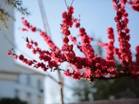 山東威海藝術(shù)幼兒師范學(xué)校2023年學(xué)費(fèi)、收費(fèi)多少