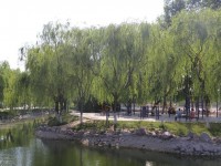 新鄉(xiāng)工程師范學(xué)院2023年學(xué)費、收費多少