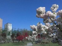 河北正定師范高等?？茖W(xué)校2023年招生錄取分?jǐn)?shù)線
