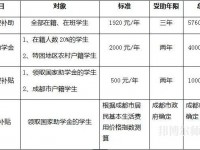 四川文軒職業(yè)幼兒師范學(xué)校2023年學(xué)費(fèi)、收費(fèi)多少