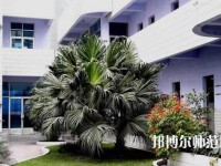 四川信息工程幼兒師范學(xué)校2023年報名條件、招生要求、招生對象