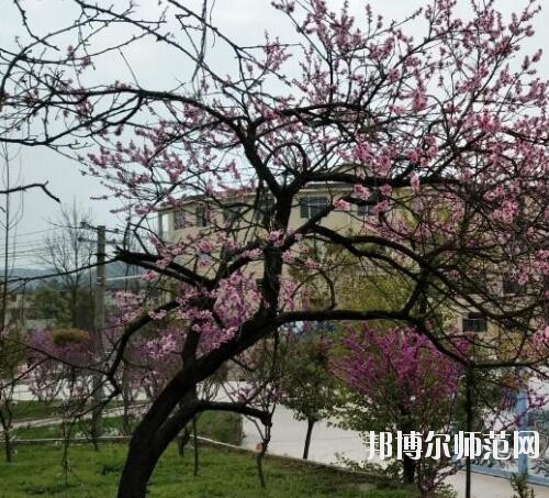 貴陽中華幼師職業(yè)學(xué)校2023年怎么樣、好不好