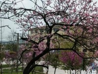 貴陽中華幼師職業(yè)學(xué)校2023年怎么樣、好不好