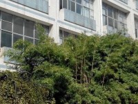 貴州貴陽中山科技幼兒師范學(xué)校2023年學(xué)費(fèi)、收費(fèi)多少