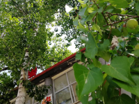 河北航空管理幼兒師范中等專業(yè)學(xué)校2023年怎么樣，好不好