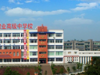 長寧縣幼兒師范職業(yè)高級中學(xué)2023年學(xué)費、收費多少