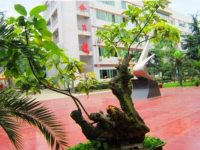 成都實驗商貿(mào)幼兒師范管理學(xué)校2023年招生錄取分數(shù)線