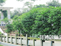 德陽通用電子科技幼兒師范學校2021年報名條件、招生要求、招生對象
