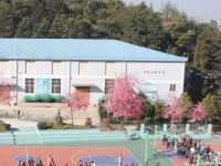 云南林業(yè)幼兒師范高級技工學校2023年學費、收費多少