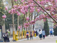 石家莊法商幼兒師范中等專業(yè)學(xué)校2023年學(xué)費(fèi)、收費(fèi)多少