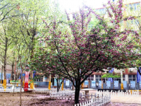 石家莊法商幼兒師范中等專業(yè)學(xué)校2023年報(bào)名條件、招生要求、招生對象