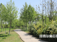 石家莊中英航空幼兒師范中等專業(yè)學(xué)校2023年怎么樣、好不好