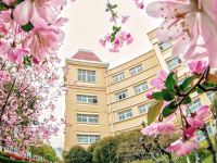 徐州幼兒師范高等專科學(xué)校2023年招生錄取分數(shù)線