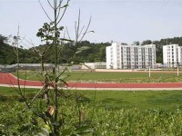 四川幼兒師范高等?？茖W(xué)校2023年招生簡章