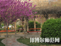 鄭州2020年幼師學?？梢詫W什么