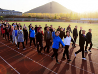 石家莊幼兒師范高等?？茖W(xué)校歷年招生錄取分?jǐn)?shù)線
