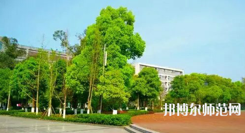 重慶市九龍坡幼師職業(yè)教育中心怎么樣、好不好。