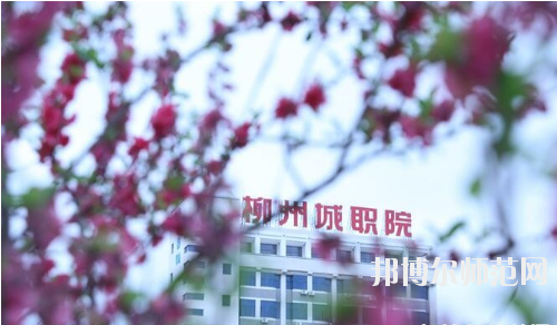 柳州城市職業(yè)師范學(xué)院怎么樣、好不好