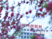 柳州城市職業(yè)師范學(xué)院2023年怎么樣、好不好