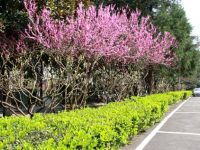 大同師范高等?？茖W(xué)校2023年招生錄取分?jǐn)?shù)線