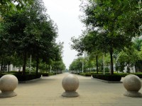 廣西現(xiàn)代職業(yè)技術(shù)師范學(xué)院2023年報名條件、招生要求、招生對象