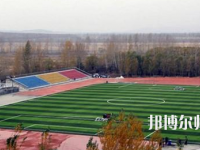 鶴崗師范高等?？茖W(xué)校2023年地址在哪里