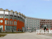 濟(jì)南幼兒師范高等?？茖W(xué)校2023年有哪些專業(yè)