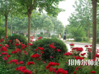 河南科技職業(yè)師范大學(xué)2023年報名條件、招生要求、招生對象