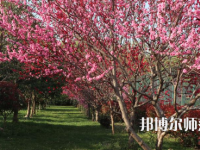 河南科技職業(yè)師范大學(xué)2023年怎么樣、好不好
