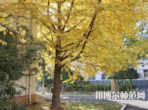 北京京北職業(yè)師范技術(shù)學(xué)院2023年報(bào)名條件、招生要求、招生對(duì)象