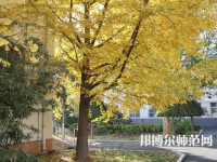 北京京北職業(yè)師范技術(shù)學(xué)院2023年報名條件、招生要求、招生對象