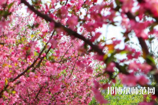鄭州大學(xué)師范學(xué)院主校區(qū)2023年報名條件、招生要求、招生對象