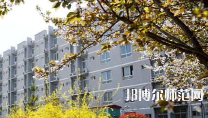 周口職業(yè)技術(shù)師范學(xué)院文昌校區(qū)2023年怎么樣、好不好