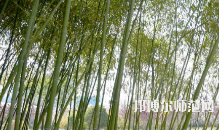 周口職業(yè)技術(shù)師范學(xué)院開元校區(qū)2023年報名條件、招生要求、招生對象