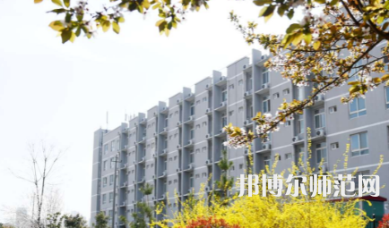 周口職業(yè)技術(shù)師范學(xué)院開元校區(qū)2023年怎么樣、好不好