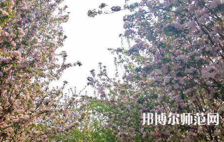 鶴壁職業(yè)技術(shù)師范學院2023年有哪些專業(yè)