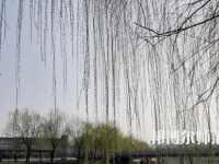 鶴壁職業(yè)技術(shù)師范學院2023年怎么樣、好不好