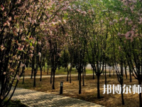 鶴壁職業(yè)技術(shù)師范學院2023年招生代碼
