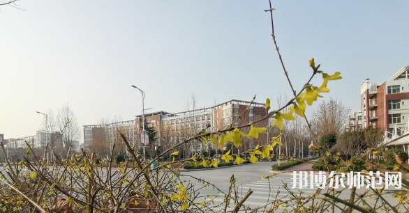 鶴壁職業(yè)技術(shù)師范學(xué)院2023年報(bào)名條件、招生要求、招生對(duì)象